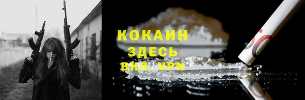 мдпв Козельск