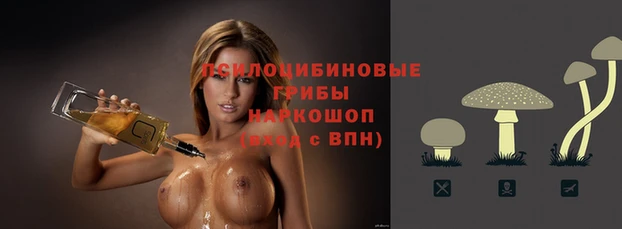 мдпв Козельск