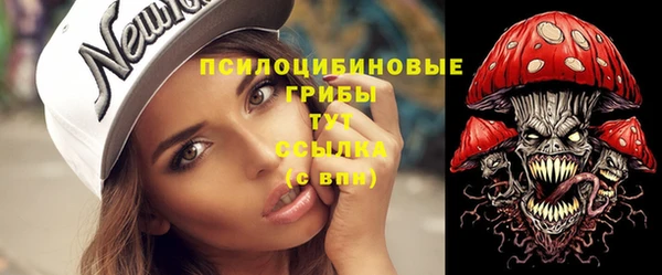 мдпв Козельск