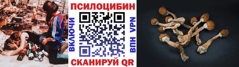Галлюциногенные грибы MAGIC MUSHROOMS  Купить где  Нижняя Салда 